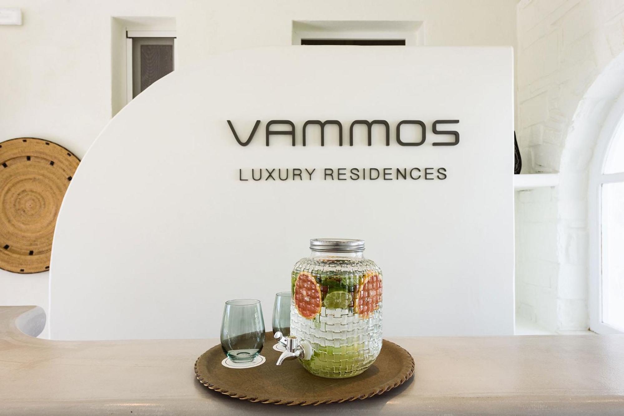 Vammos Luxury Residences Náoussa Extérieur photo